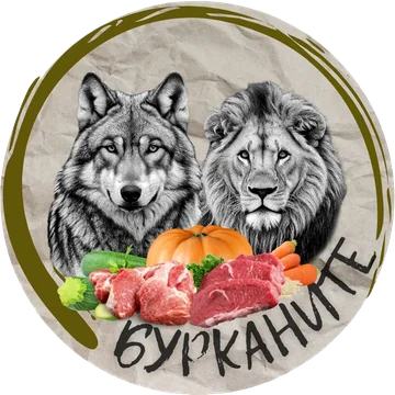 Бурканите